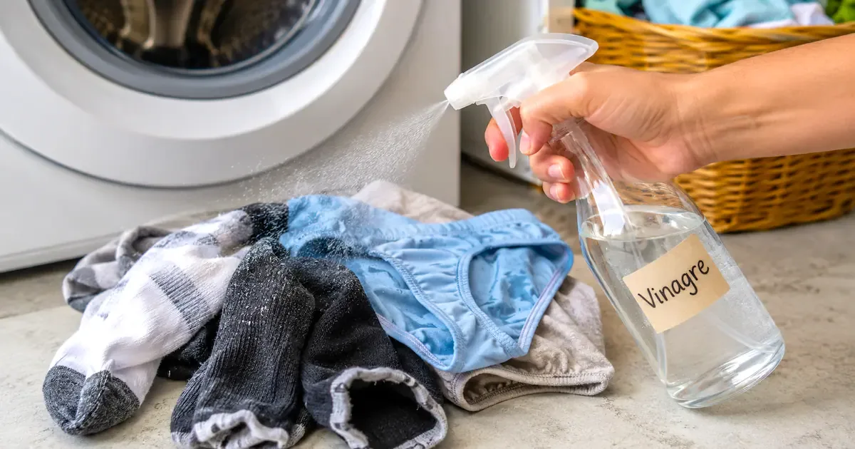 10 bis 15 Minuten vor dem Waschen: Warum weißer Essig auf Socken und Unterwäsche hilft