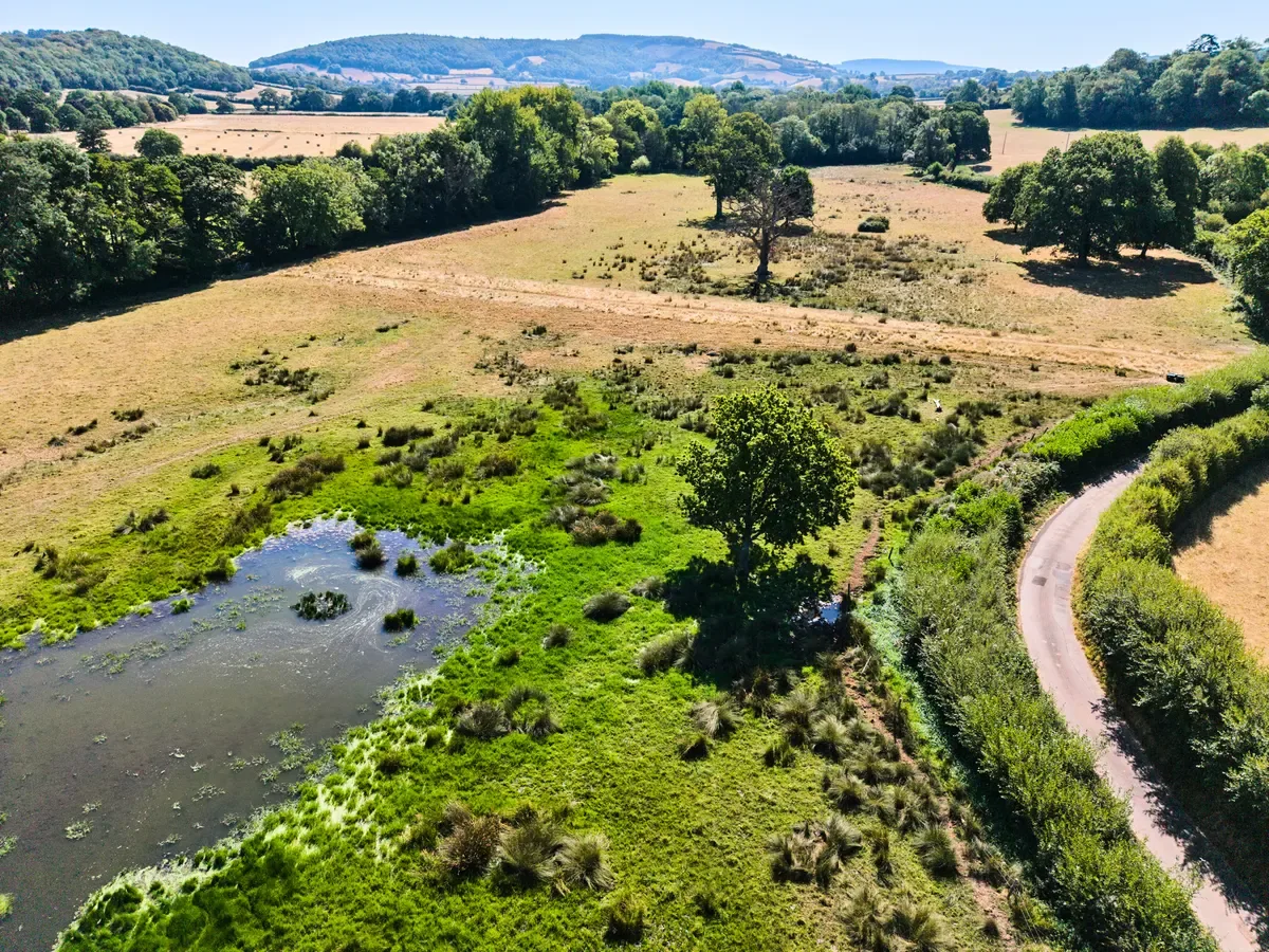 Aerial view of a green wetland with pools of open water beside a farm track and brown grass fields, bordered by hedgerows.
