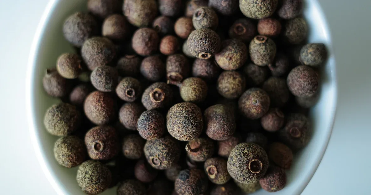 Allspice im Alltag: Warum die getrocknete Karibik-Beere in Wurst, Ketchup und Lebkuchen steckt
