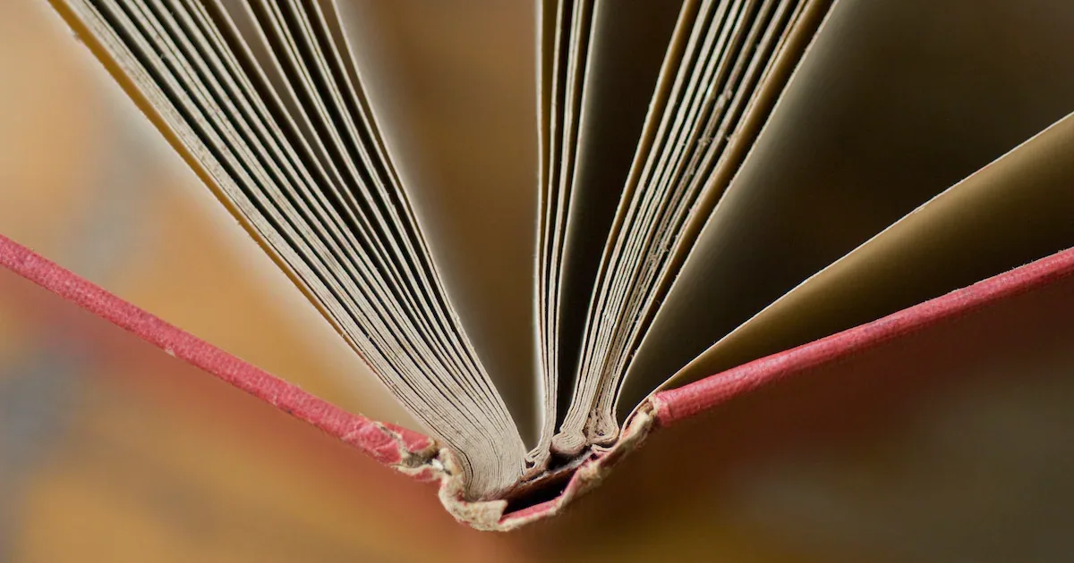 Amazon-Lager VGT3: Tausende Bücher für KI-Training zerschnitten und eingescannt