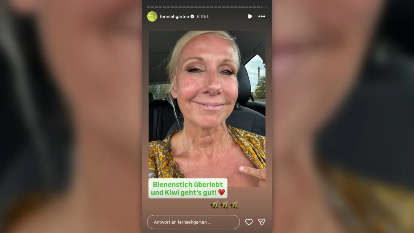 Andrea Kiewel von Biene gestochen: ZDF gibt Entwarnung auf Instagram