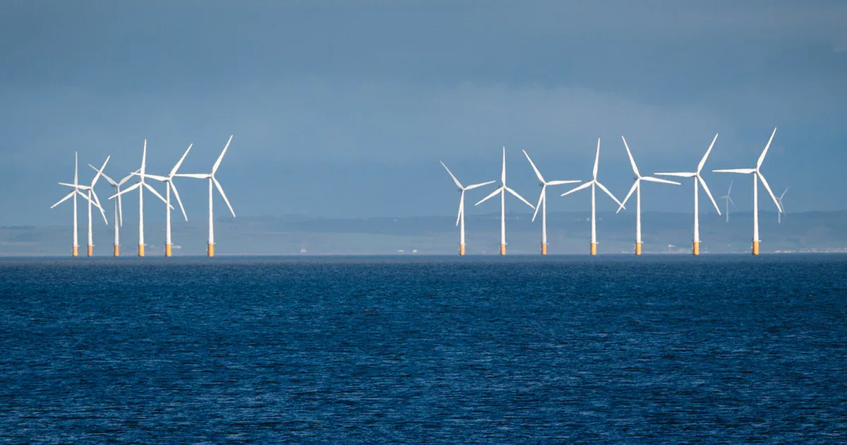 Bis zu 12 Prozent weniger Regen: Wie Offshore-Windparks das Küstenwetter verändern
