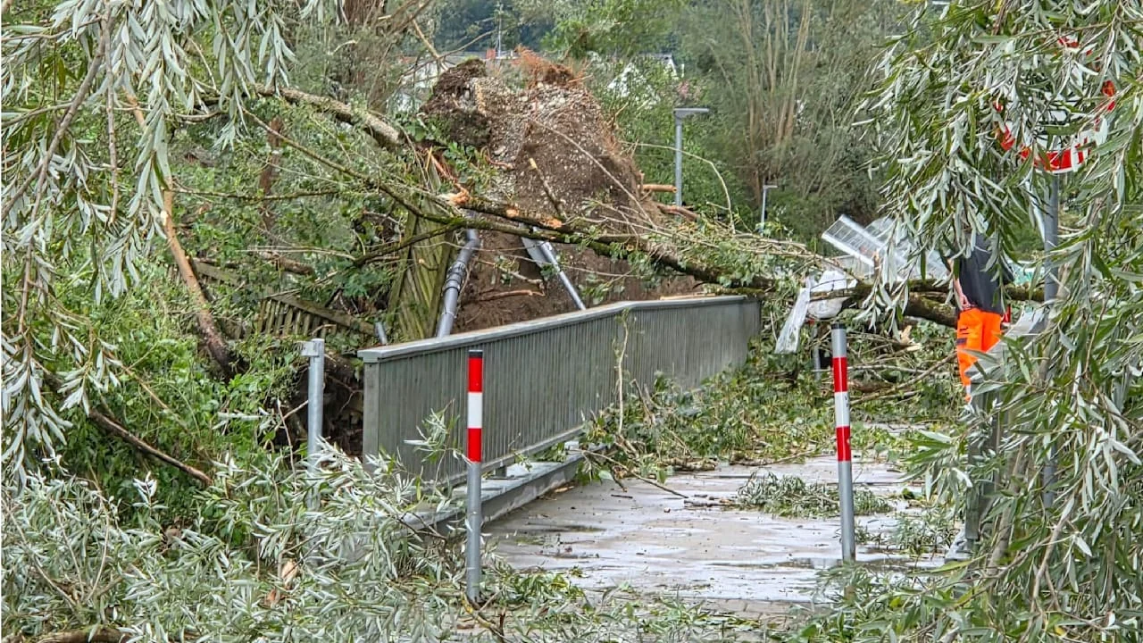 Böen bis 150 km/h: Tief „Raphaela“ deckt rund 100 Dächer in Bohlingen ab