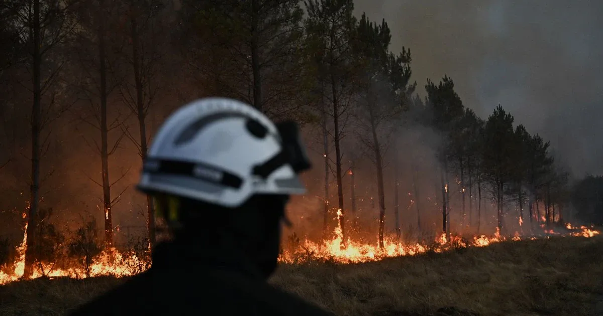 Die Gefahr aus der Tiefe: Warum „Zombiefeuer“ das Hohe Venn bedrohen