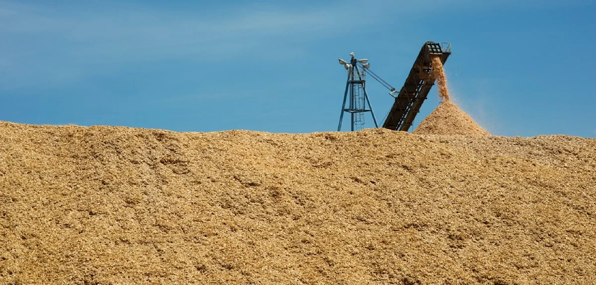Ein Förderband, das Holzspäne auf einen Haufen abwirft