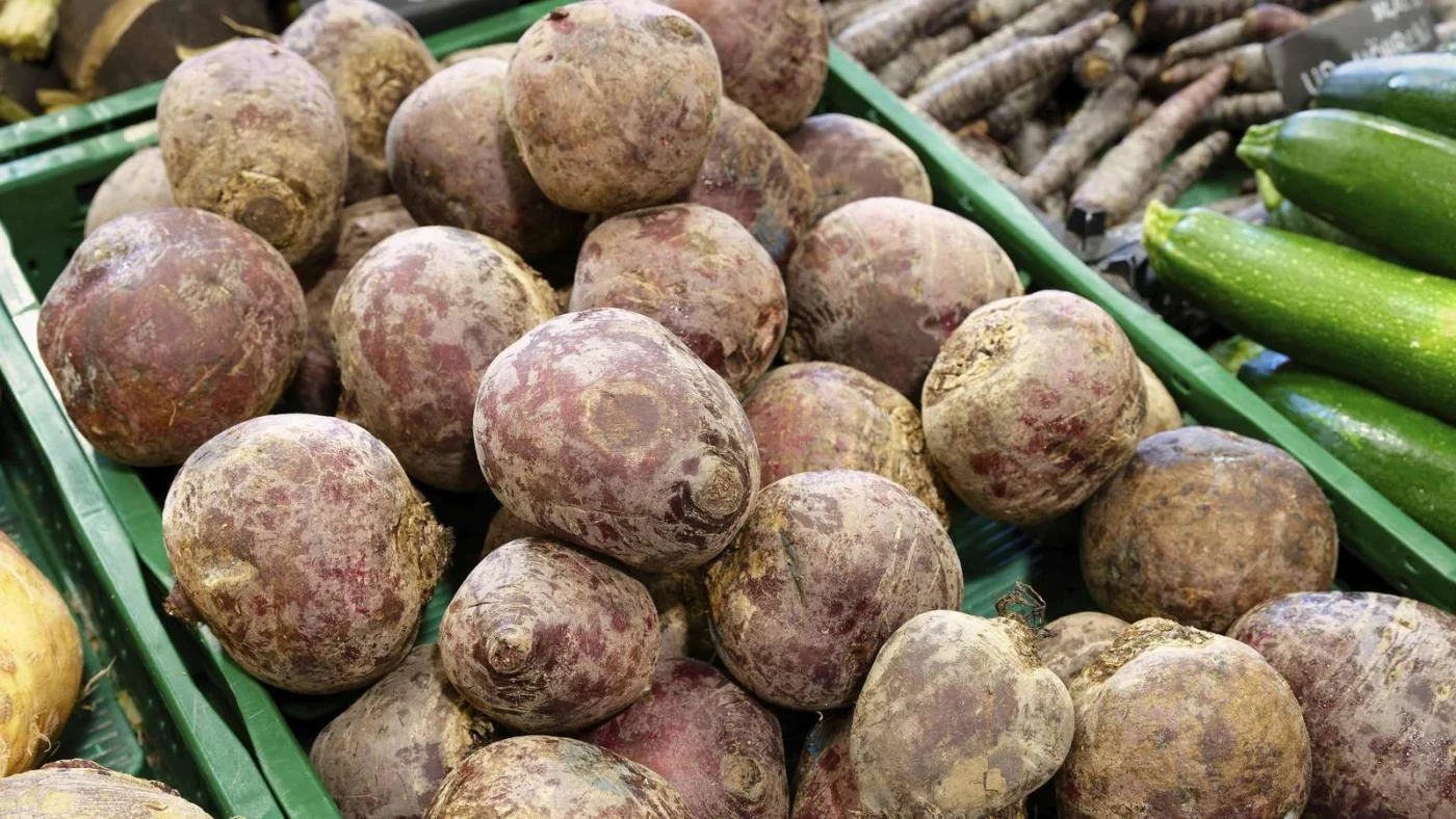Ein Haufen Rote Beete in einer grünen Kiste auf einem Bauernmarkt in der Nähe von Köln im Herbst.