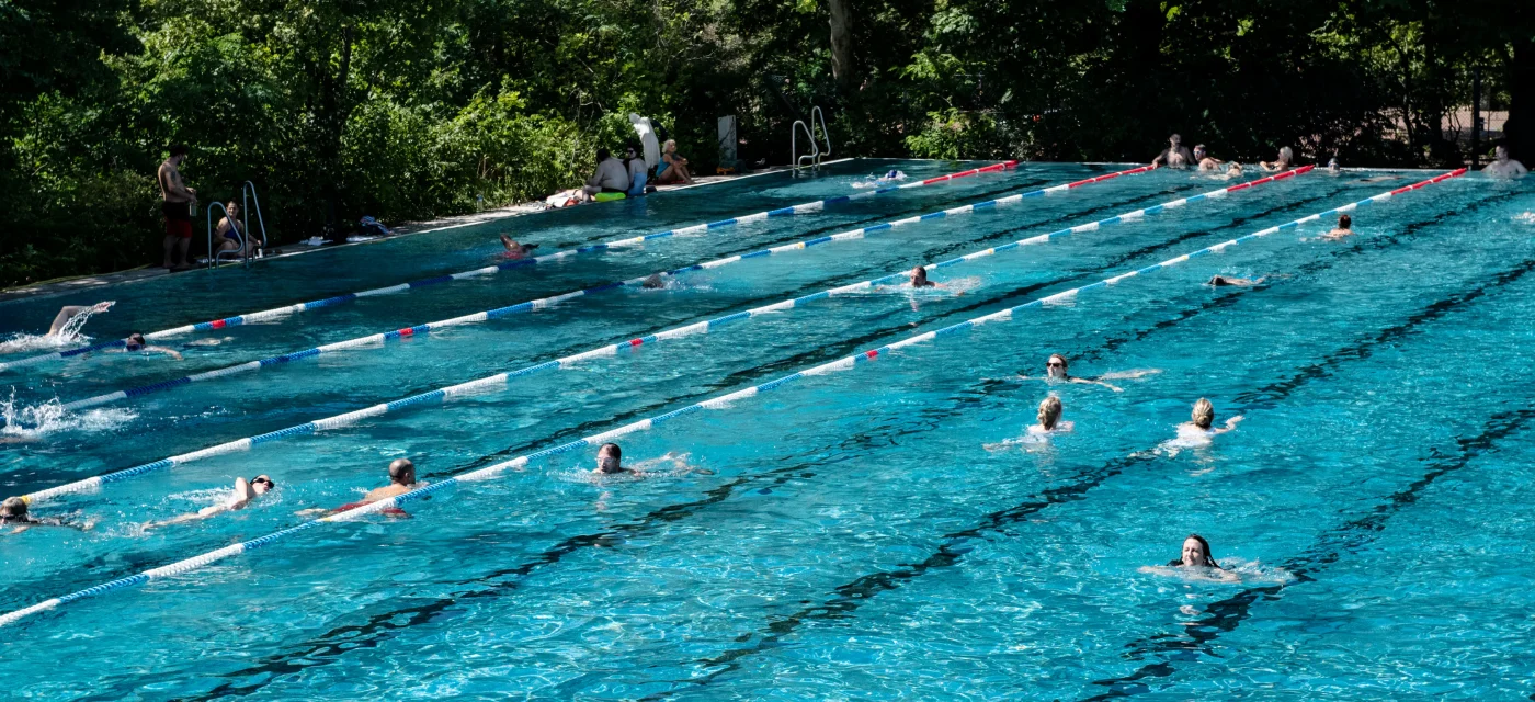 Ex-DSV-Bundestrainer Dirk Lange empfiehlt Kraftübungen für angehende Schwimmer.
