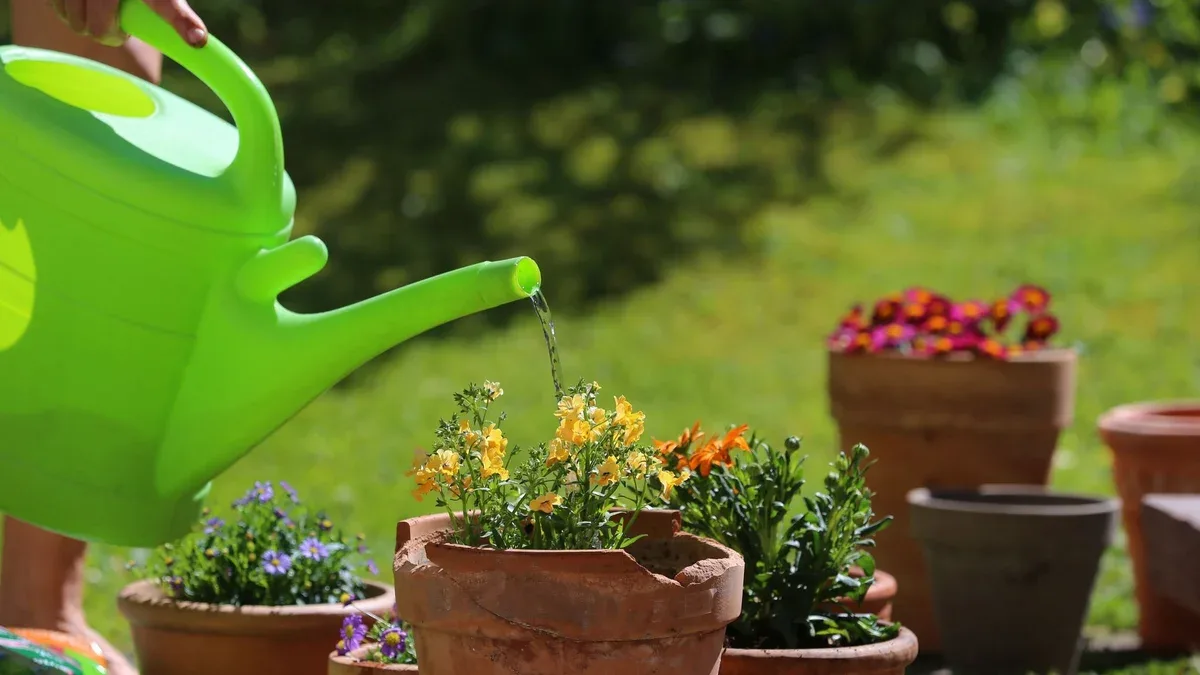 Garten-Mythen entlarvt: Warum Ihre Pflanzen leiden