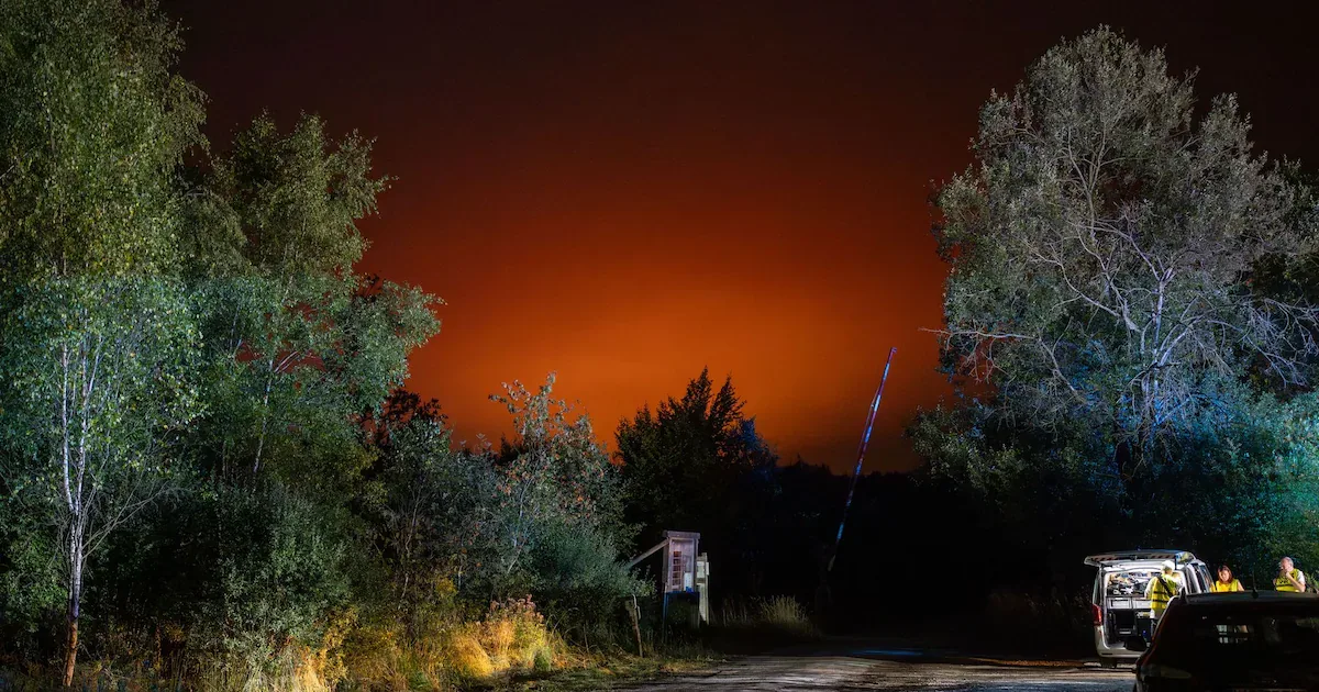 Gefahr durch Waldbrandrauch: Wie Sie Ihre Gesundheit vor Feinstaub und Asche schützen