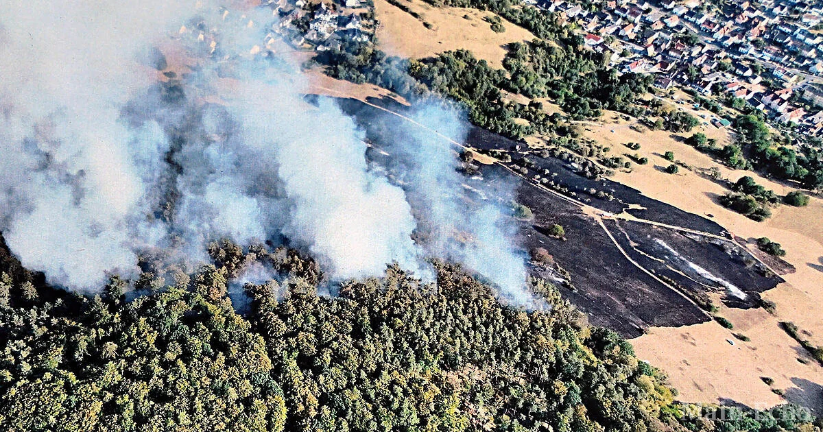 Großeinsatz in Waldaschaff: Waldbrand unter Kontrolle, Nachlöscharbeiten dauern an
