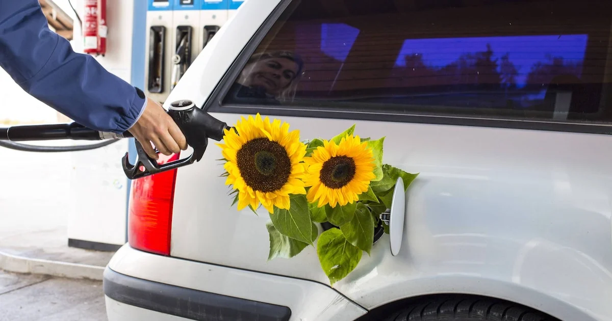 Großversuch mit Nexa 95: BMW und Toyota testen Biokraftstoff im Realbetrieb