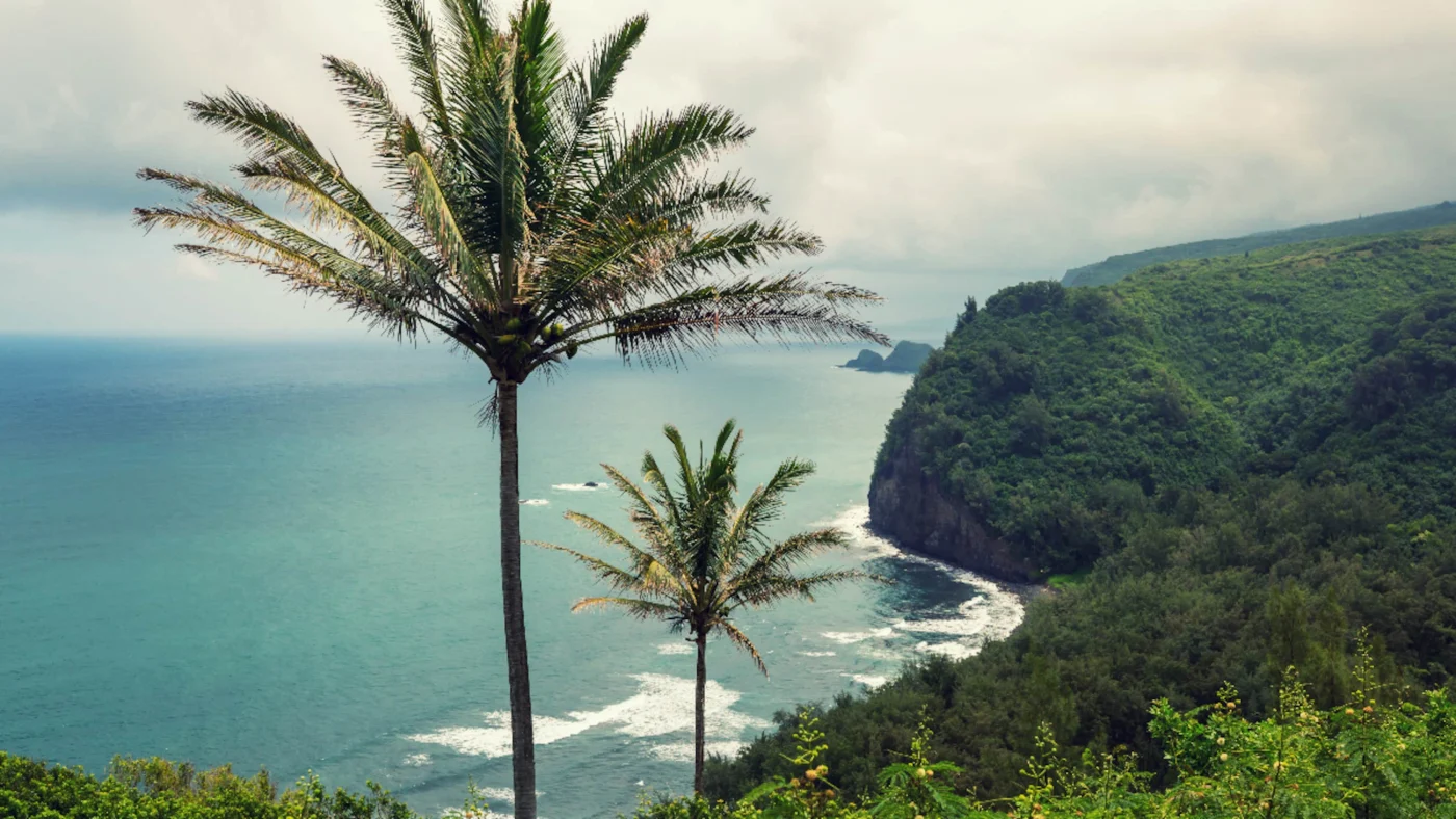 Hawaii: Küste