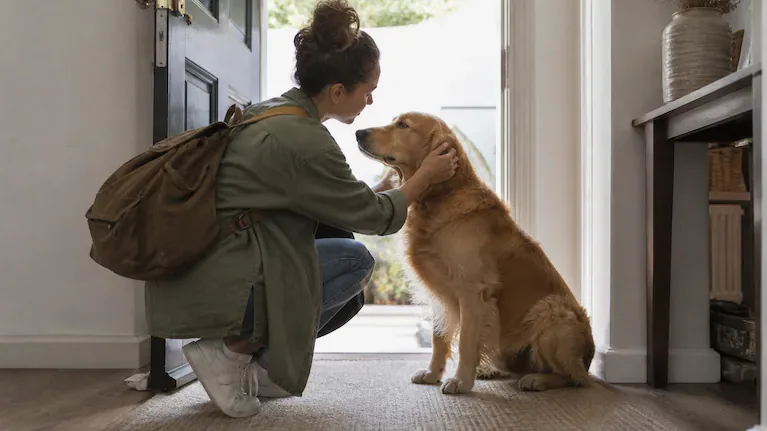 Hay personas que se toman un tiempo para despedir a su mascota antes de salir de casa. (Foto: ChatGPT)
