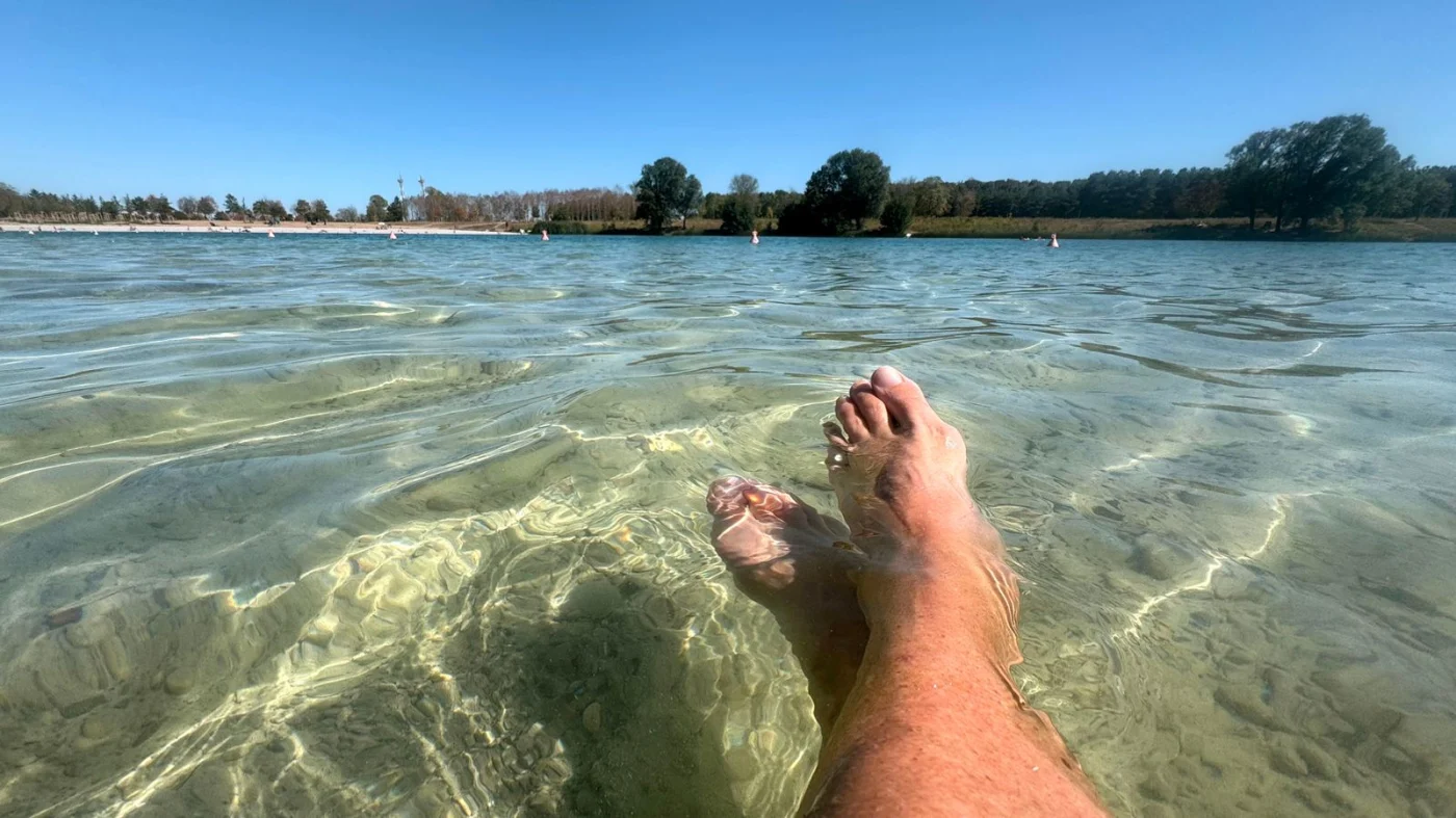 Hitzewelle in Bayern: Bis zu 38 Grad und kritische Waldbrandgefahr