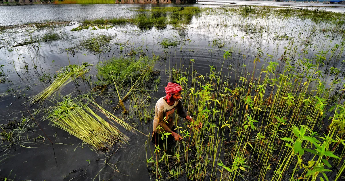 Indiens „Warming Hole“: Warum sich das Land langsamer erhitzt – und warum das trügerisch ist