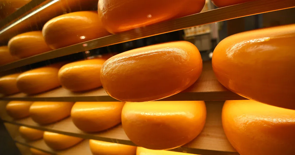 Insolvenz bei Crazy Cheese: Luxus-Inventar und Käse-Vorräte kommen unter den Hammer