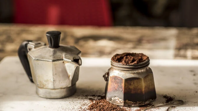 Kaffeesatz als Barriere gegen Insekten: Was der Haushaltstrick wirklich bringt