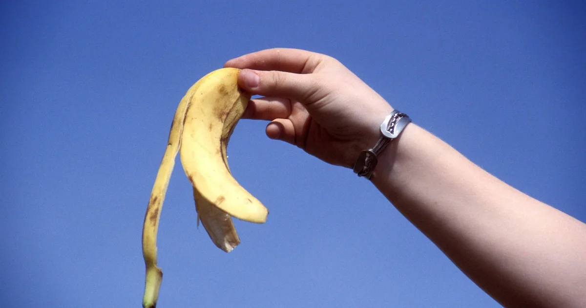 Küchenreste clever nutzen: Was wirklich funktioniert und was Mythen sind