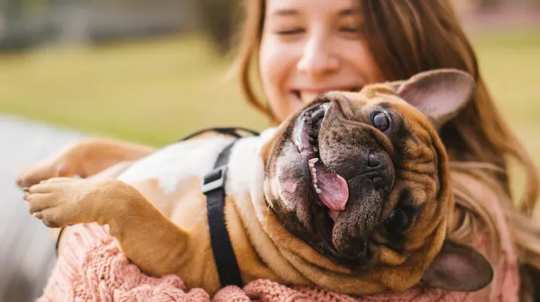 Las charlas entre animales y humanos fortalecen el vínculo entre ambos. (Foto: Adobe Stock)