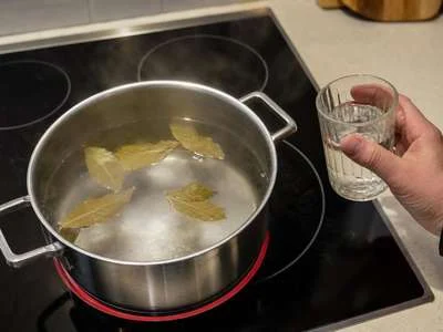 Neben einem Topf, in dem Wasser und Lorbeerblätter sind, hält eine Person ein halb volles Glas mit einer klaren Flüssigkeit.