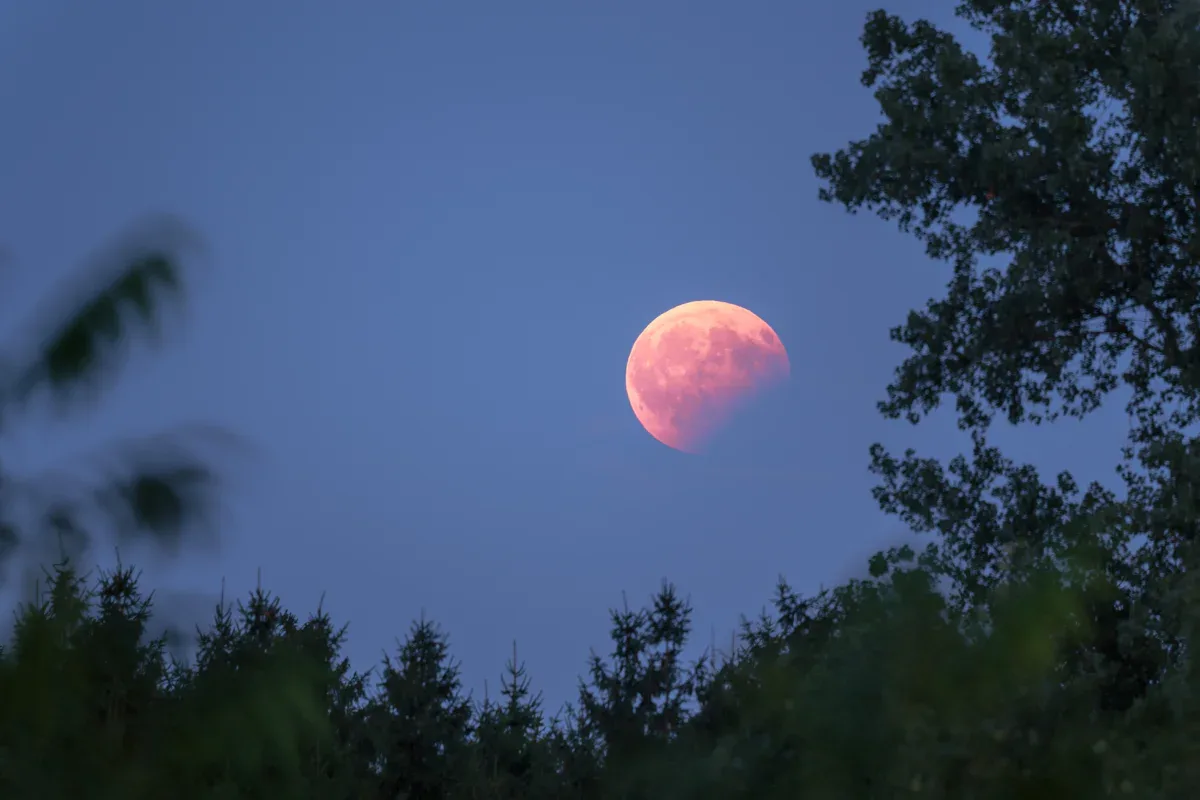 Partielle Mondfinsternis am Freitag: So beobachten Sie das Himmelsereignis