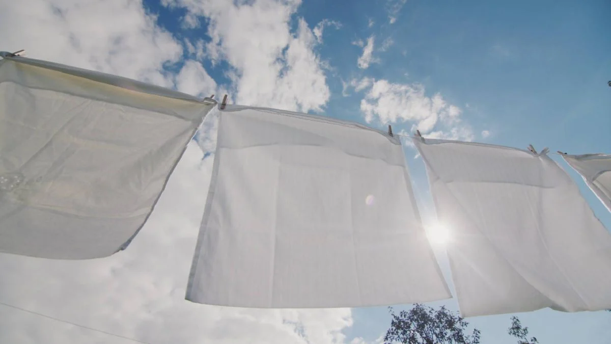 Pillowcases hanging on the line