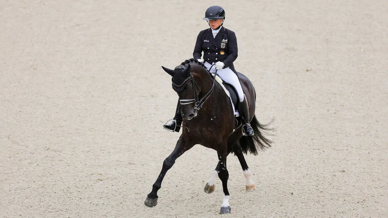 Reit-WM 2026 in Aachen: Der Kampf um Gold im Dressur Grand Prix Spécial