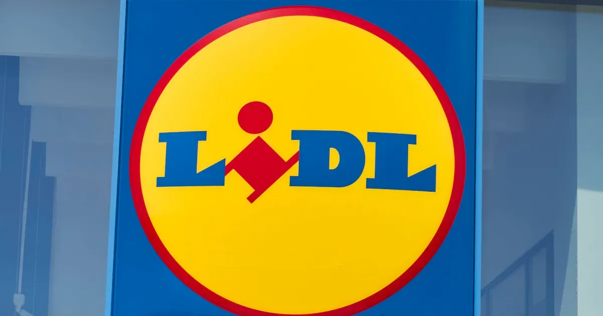 Rückruf bei Lidl: Bakterien in Milbona High Protein Pudding entdeckt