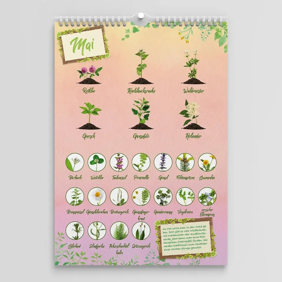 Saisonkalender für Wildkräuter