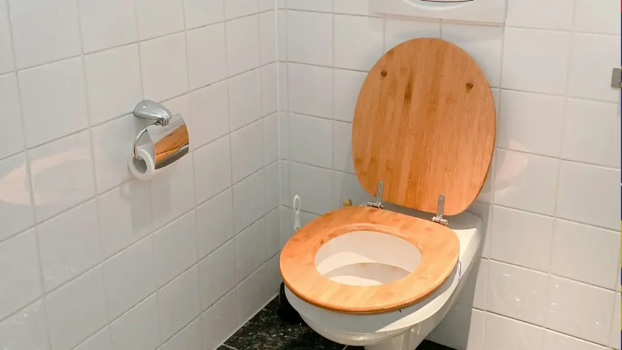 Salz im WC: Was bringt der virale Haushaltstrick wirklich?