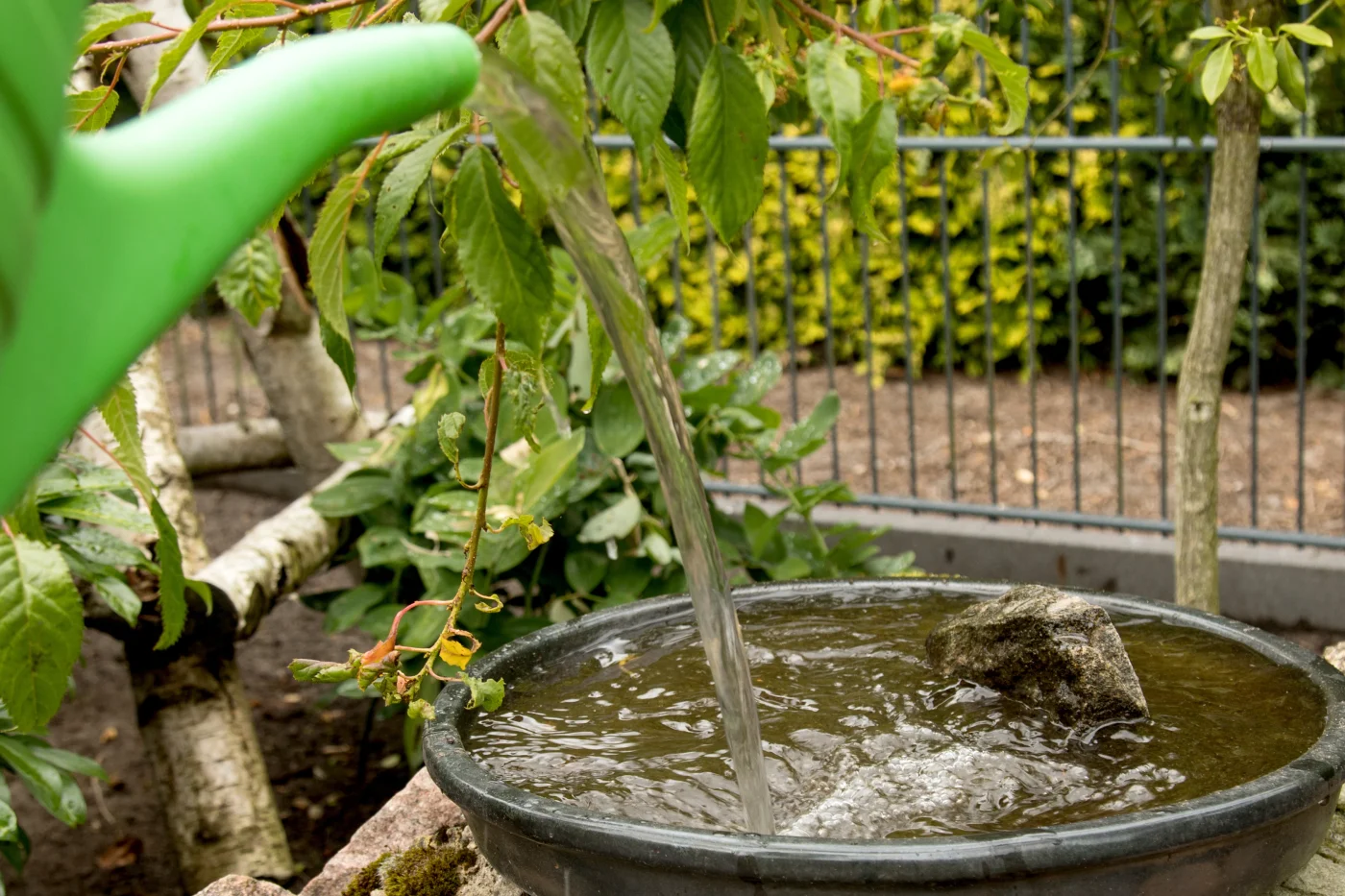 Schale mit Wasser