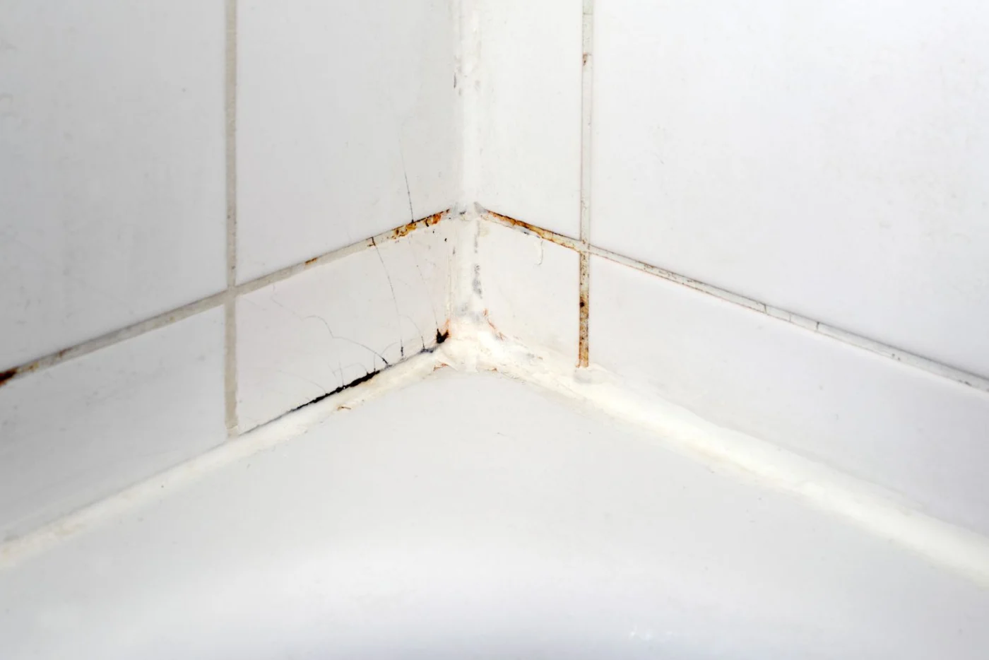 Schimmel im Bad effektiv entfernen: Die besten Hausmittel gegen Pilzbefall