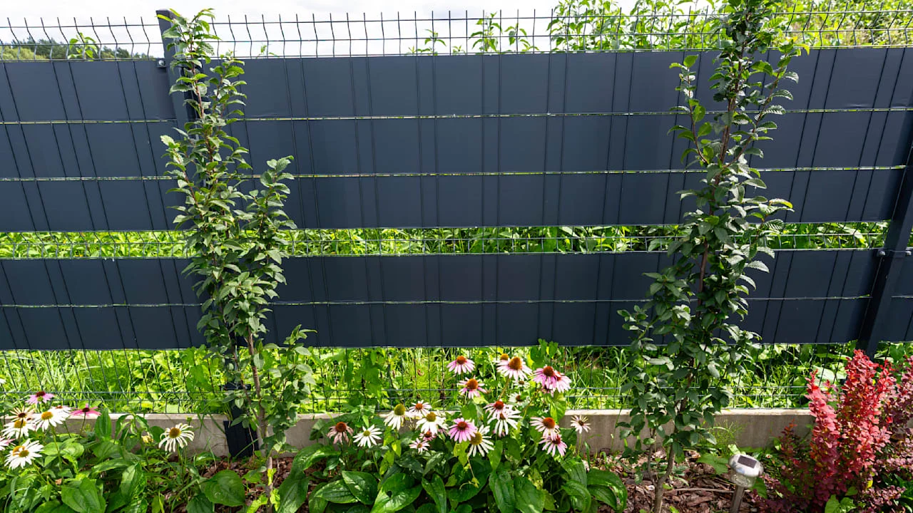 Sichtschutz im Garten: Was beim Zaunbau rechtlich wirklich erlaubt ist