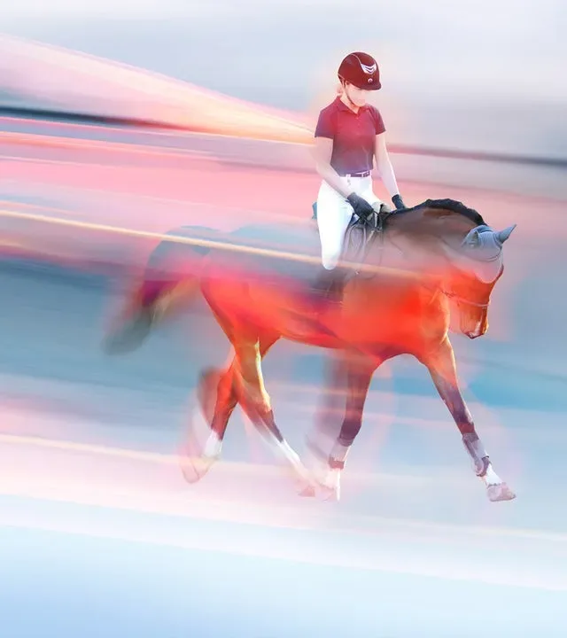 sportstudio live: Para-Reiten
