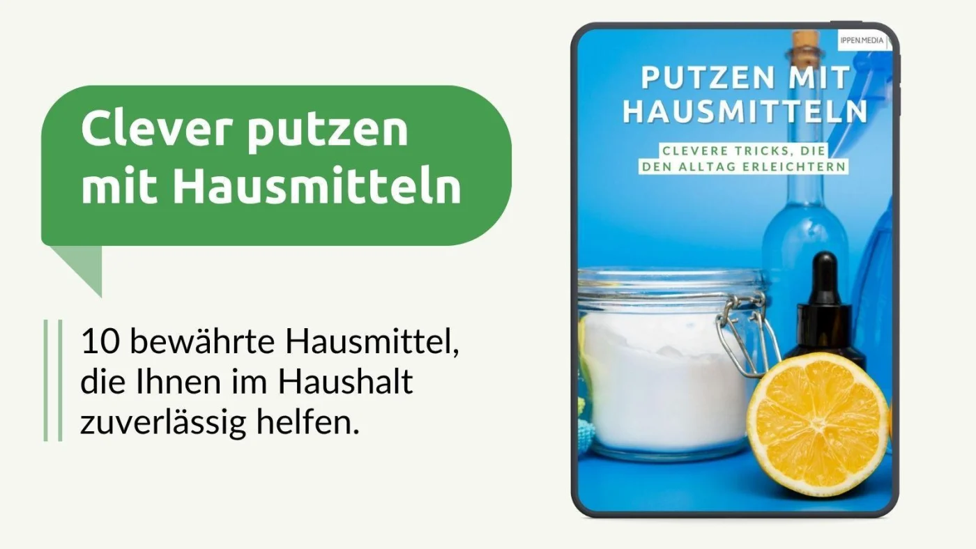 Vorschaubild für einen kostenlosen Ratgeber, der Hausmittel fürs Putzen auflistet