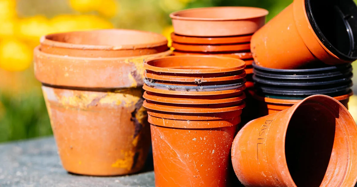 Warum Sie alte Plastiktöpfe nicht in den Müll werfen sollten