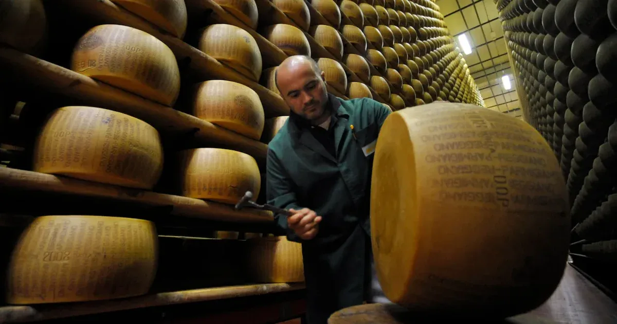 Wenn Parmigiano zum Bankrisiko wird: Hitze bedroht Italiens Millionen-Tresore