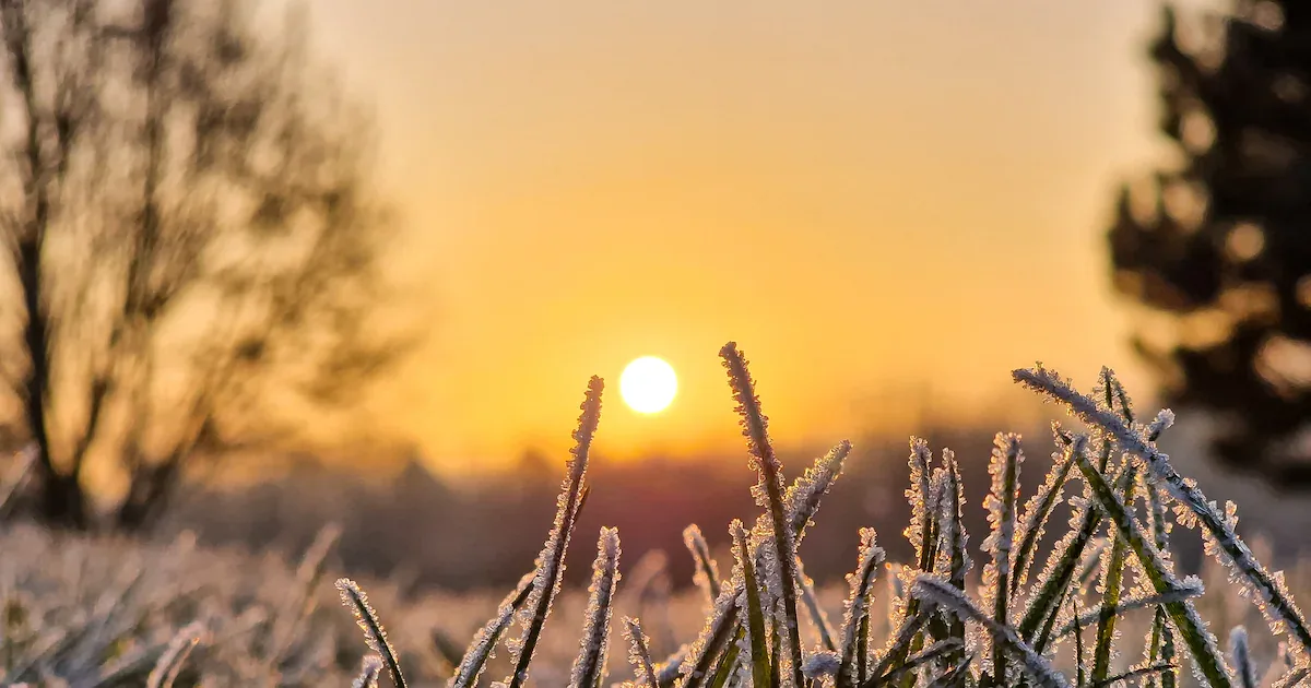 Wetter im Herbst 2026: 100-jähriger Kalender kündigt Frost ab Oktober an – Experte widerspricht