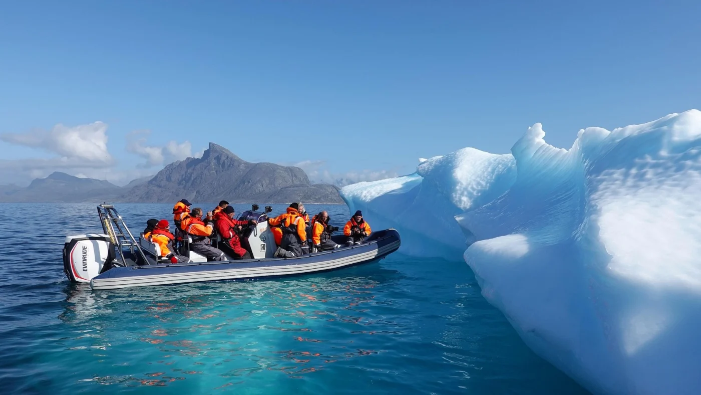 Wissenschaftler entdecken Tausende Makroalgen-Felder vor Grönlands Küste