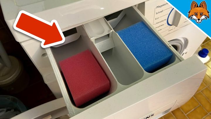 2 Schwämme im Waschmittelfach: Einfacher Trick gegen Schimmel und Waschmittelreste