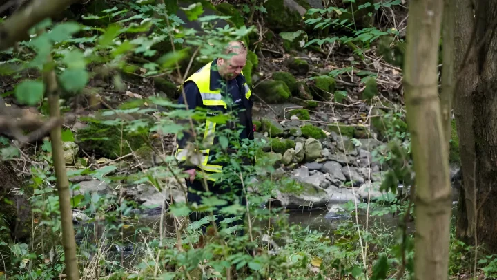 Alsfeld: Vermisste 88-Jährige nach 11 Tagen Suche tot an der A5 aufgefunden