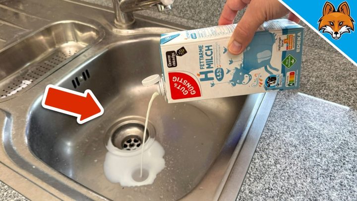 Edelstahlspüle reinigen mit Milch: Der einfache Haushaltstrick für streifenfreien Glanz