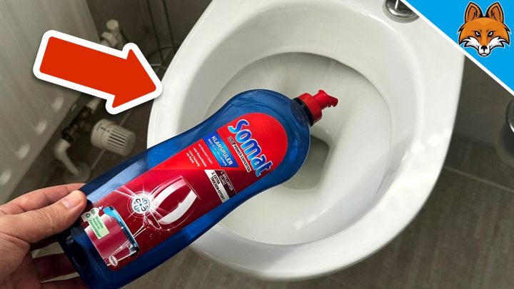 Klarspüler in der Toilette: Warum das Geschirrspülmittel hartnäckige WC-Ablagerungen stoppt