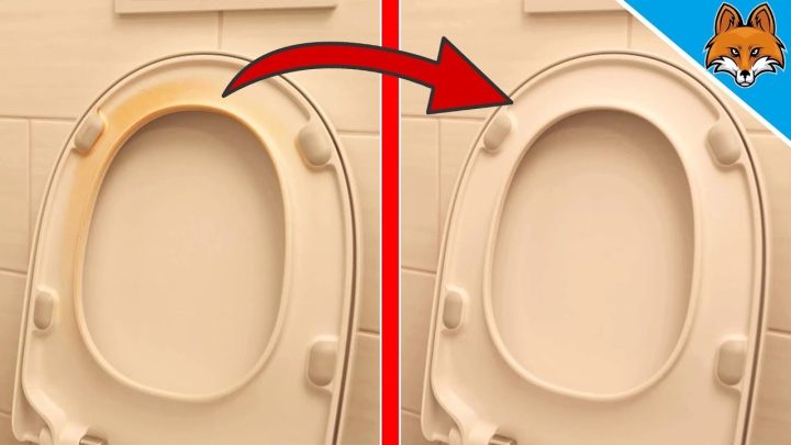 Vergilbte Klobrille reinigen: So wird der Toilettendeckel wieder strahlend weiß