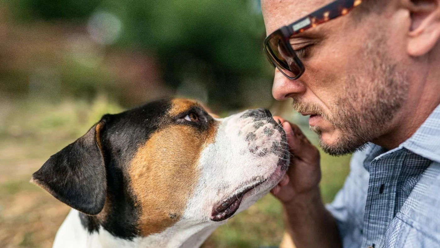 Ein Boxer-Mischling mit seinem Halter: Die Kosten für die Hundehaltung werden von vielen Hundehalter:innen unterschätzt.