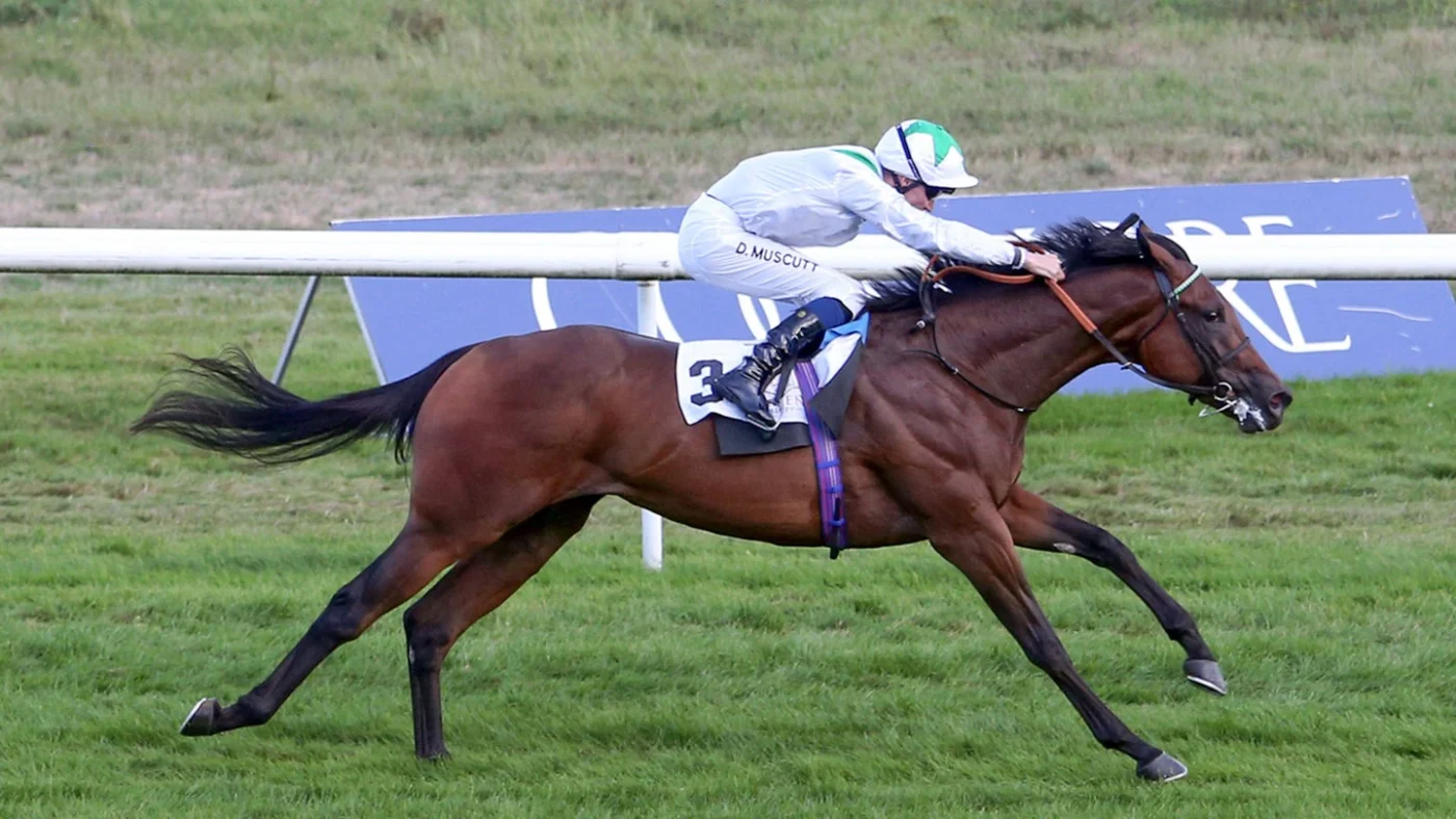 Ein weiteres wichtiges Rennen bei der Grossen Woche in Iffezheim geht an England. Jockey Daniel Muscutt schwärmt von den Bedingungen.