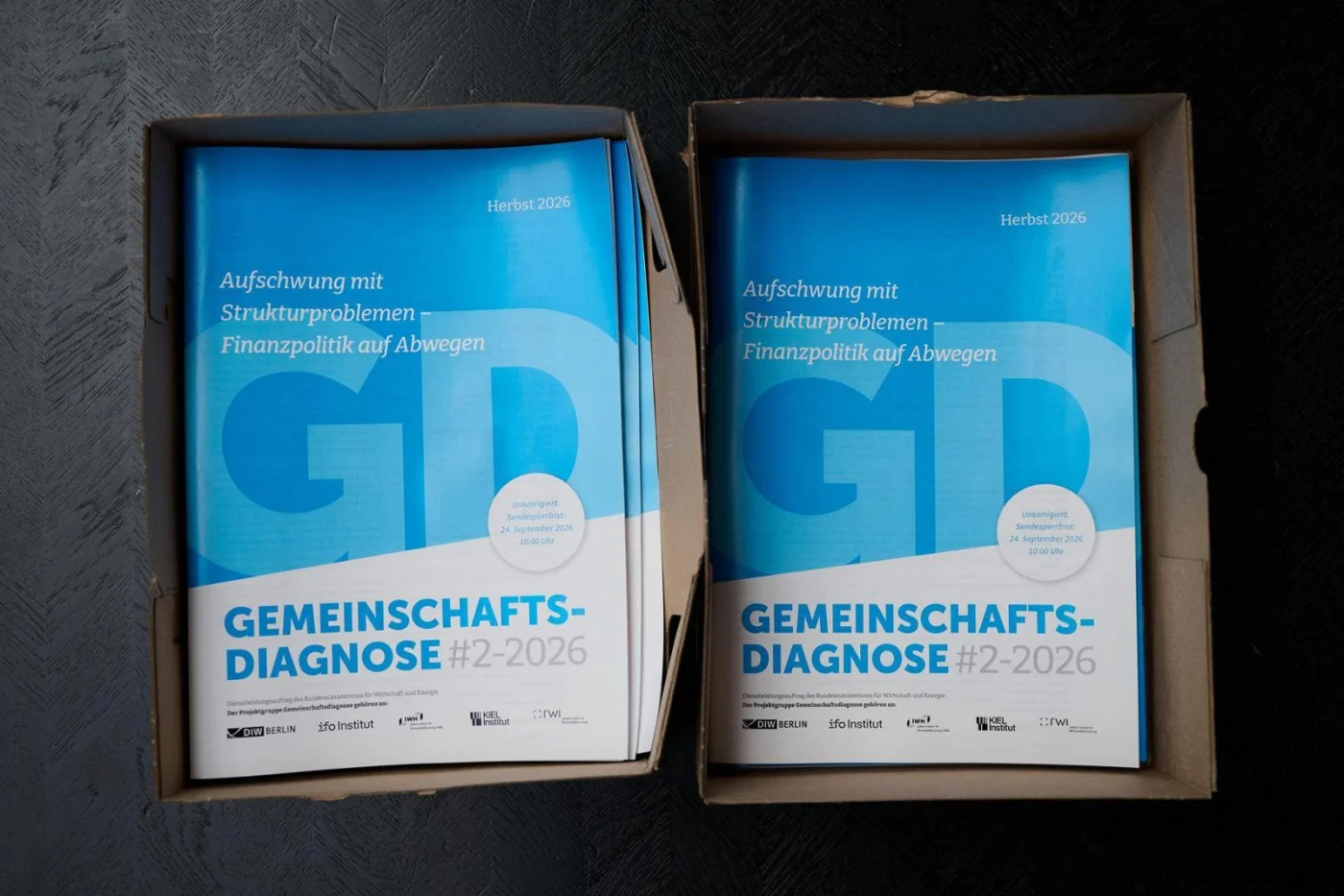 Gemeinschaftsdiagnose Herbst 2026