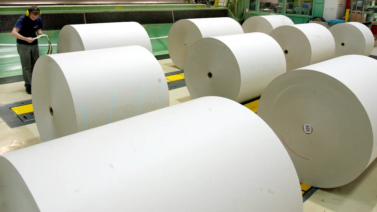 Geschnittene Papierrollen in einer Fabrik (Symbolfoto)