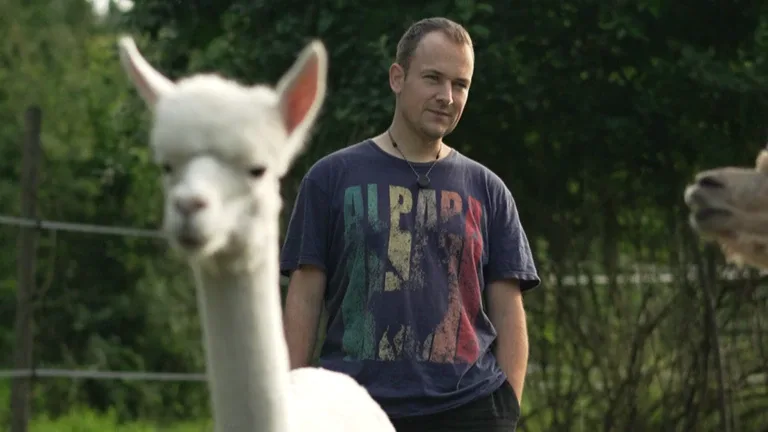 Mann steht hinter einem weißen Alpaka