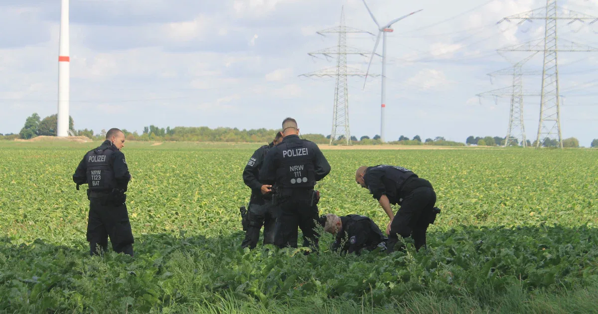 Sabotage am Kraftwerk Jänschwalde: 2 Kurzschlüsse an Höchstspannungsleitungen ausgelöst